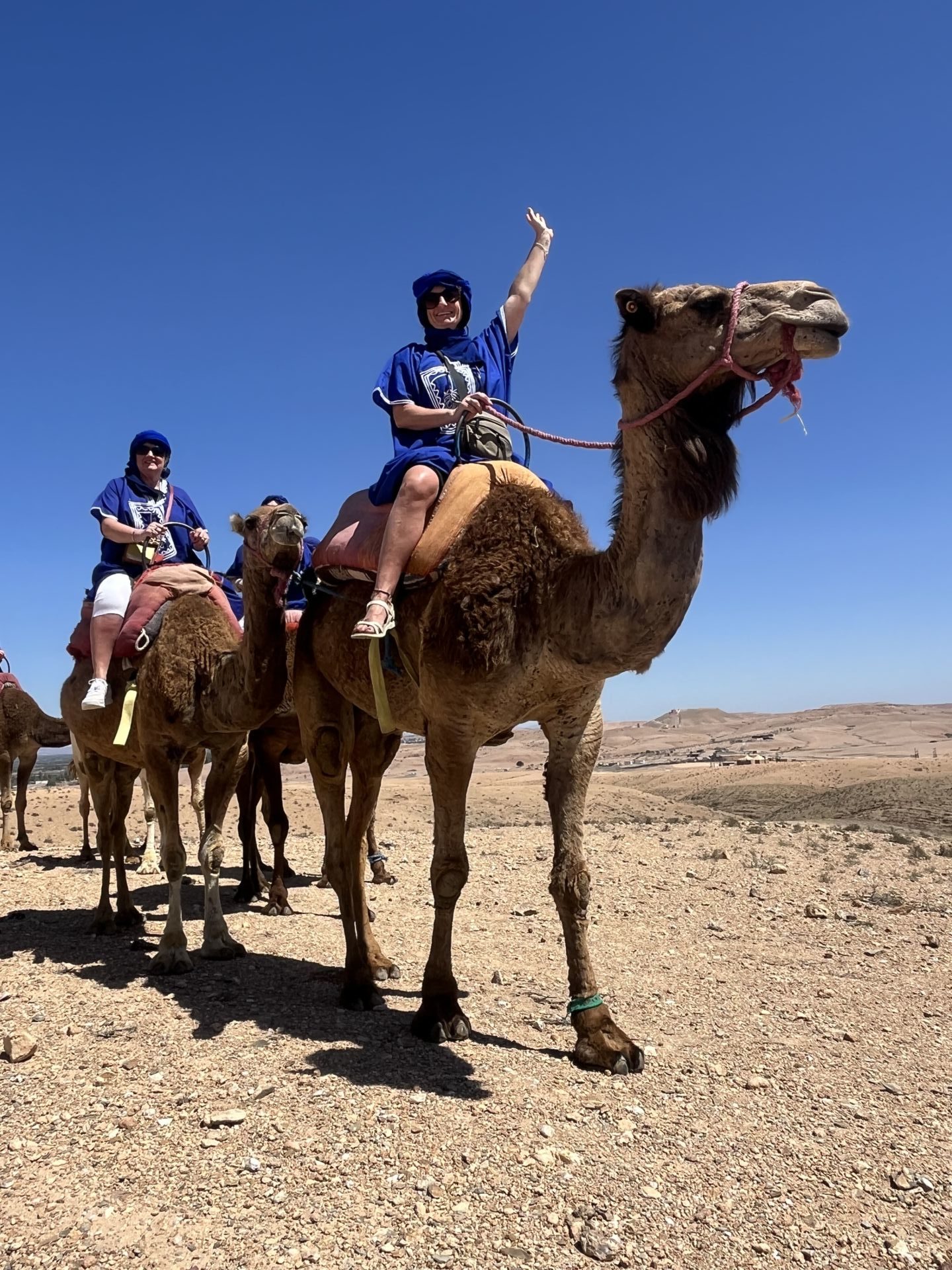 sinead kennedy wellness travel coaching solo single life