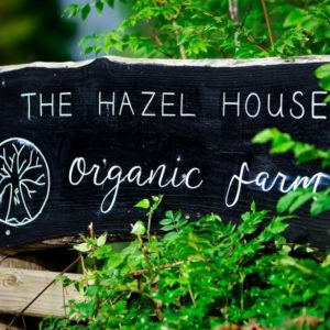 Yoga/ Sauna/  Brunch Dec 14 2025